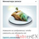 Что такое: Миниатюра записи