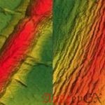 Бактерии могут быть ключом к превращению графена в полупроводник