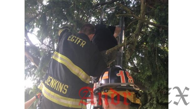 Отдел пожарной охраны Нью - Джерси спасает женщину в дереве