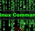 12 основных команд Linux для чайников