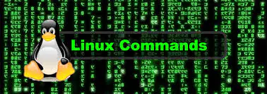 12 основных команд Linux для чайников