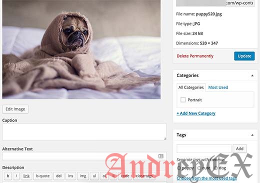 Добавить категорию и теги к изображению