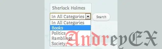 Функция поиска по выбранным категориям в действии на WordPress сайте