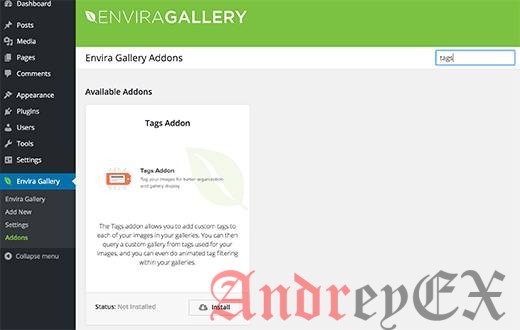 Галерея Envira теги аддон