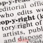 Как добавить динамические данные о авторском праве в Footer на WordPress