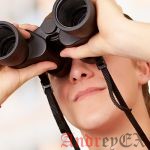 Как искать по категориям в WordPress