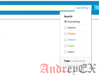 Как использовать несколько поисковых формы в WordPress