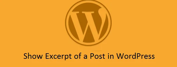 Как отобразить в посту Excerpt через тему в WordPress