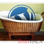 Как установить WordPress?