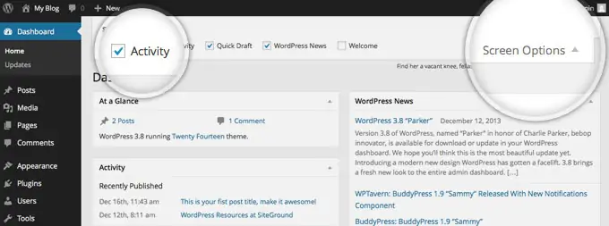 Показ дополнительной информации на панели в WordPress
