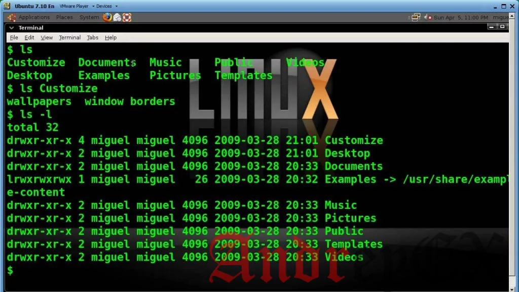 Примеры использования в Linux команды LS