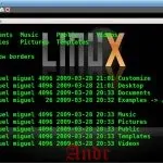 Примеры использования в Linux команды LS