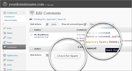 Ручная проверка комментарии на спам с помощью Akismet в WordPress