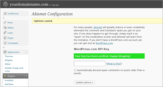 Успешная активация Akismet в WordPress