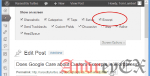 Включить Excerpt в посте WordPress