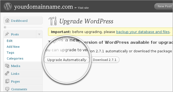 Вопрос об обновлении в WordPress