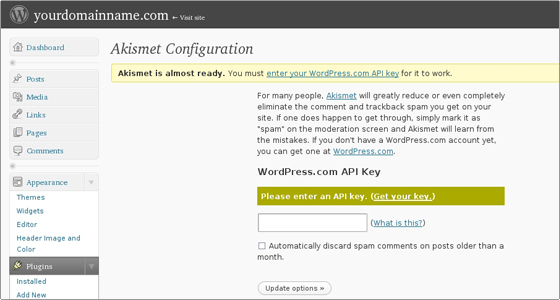 Введите ваш WordPress API ключ Akismet