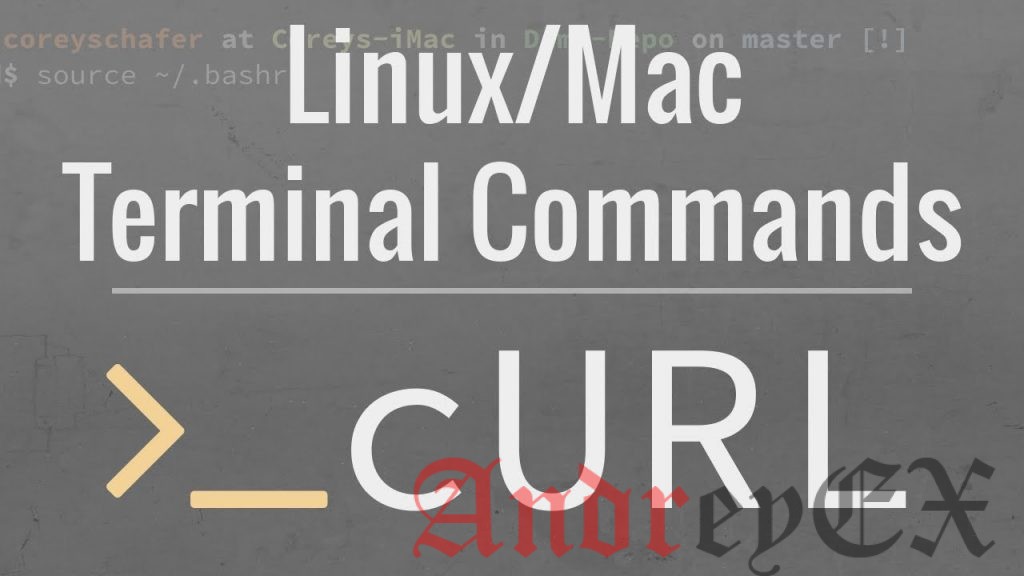 5 основных примеров команды Curl