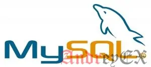 База данных MySQL