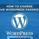 Как изменить пароль в WordPress