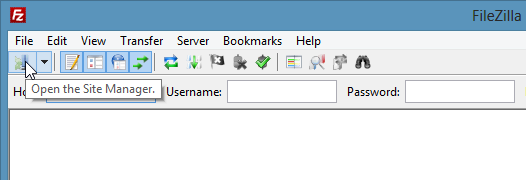 Открытый менеджер сервера в FileZilla.