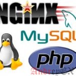 Как установить LEMP (Linux, Nginx, MySQL & PHP-FPM) на Debian 8