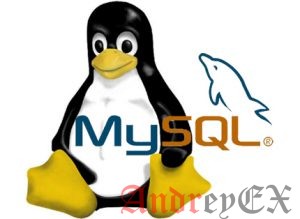 Как установить MySQL на Linux