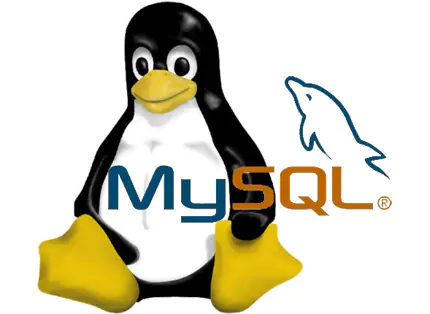 Как установить MySQL на Linux