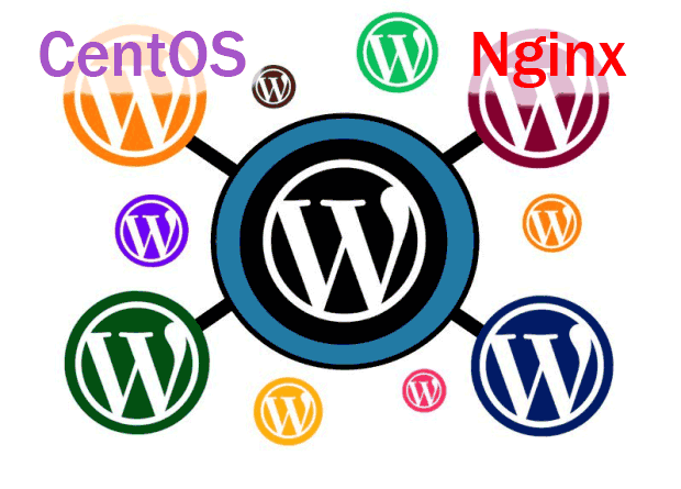 Как установить мультисайт WordPress на Centos с Nginx