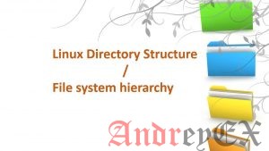 Структура каталогов Linux (Структура файловой системы). Разъяснения с примерами