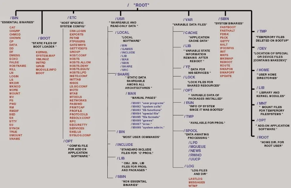 Структура каталогов Linux (Структура файловой системы).