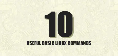 10 основных команд Linux для начинающих