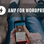Как правильно установить Google AMP на вашем сайте WordPress
