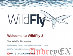 Как установить WildFly с Nginx в качестве обратного прокси на Ubuntu 16.04