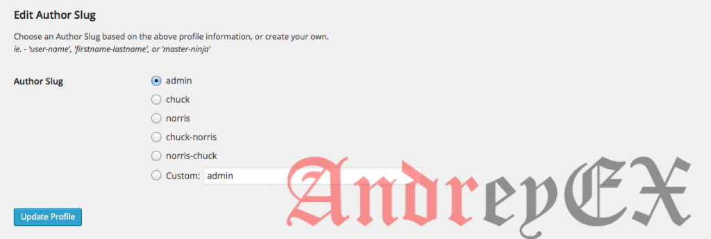 Индивидуальный пользователь author slug