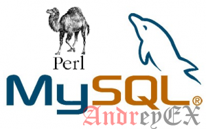 Как подключиться к MySQL из Perl с примером выбора записей