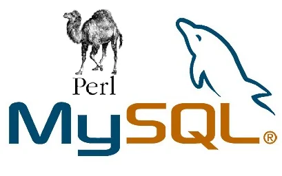 Как подключиться к MySQL из Perl с примером выбора записей