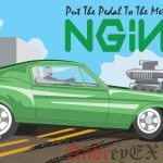 Как установить NGINX с PHP-FPM и MYSQL на Ubuntu 16.04
