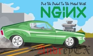 Как установить NGINX с PHP-FPM и MYSQL на Ubuntu 16.04