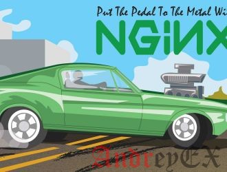Как установить NGINX с PHP-FPM и MYSQL на Ubuntu 16.04