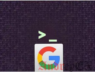 Выполните поиск Google из командной строки в Linux