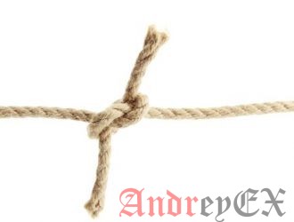 Как объединить два WordPress сайта вместе без потери SEO