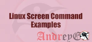 Основы использования команды screen и примеры в Linux