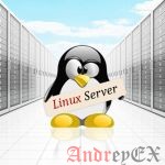 Что такое Linux VPS хостинг?