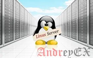 Что такое Linux VPS хостинг?