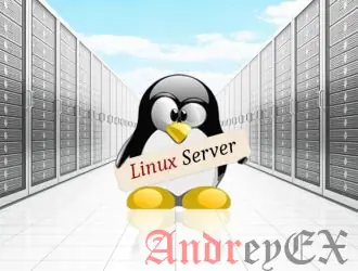 Что такое Linux VPS хостинг?