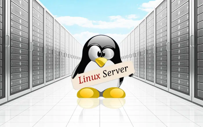 Что такое Linux VPS хостинг?