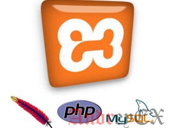 Как создать локальный WordPress сайта с помощью XAMPP