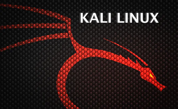 Установка средства Kali Linux Katoolin в Linux