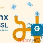 Как настроить Jenkins с помощью SSL и обратного прокси Nginx